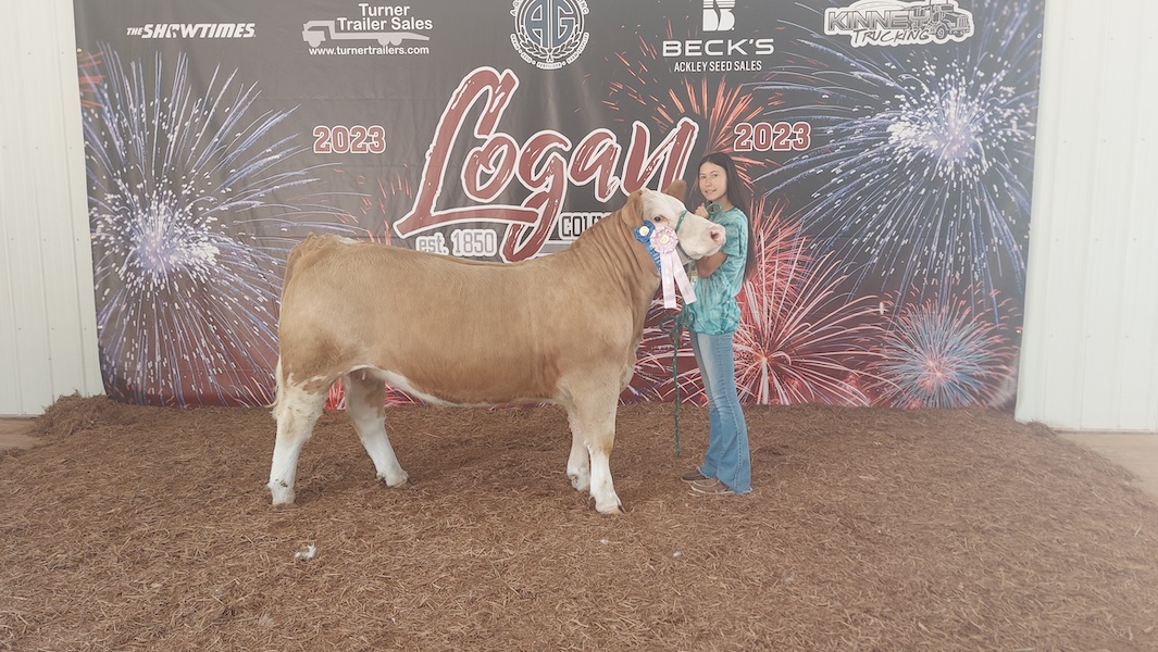 Reserve Champion, 2023 Logan County Fair