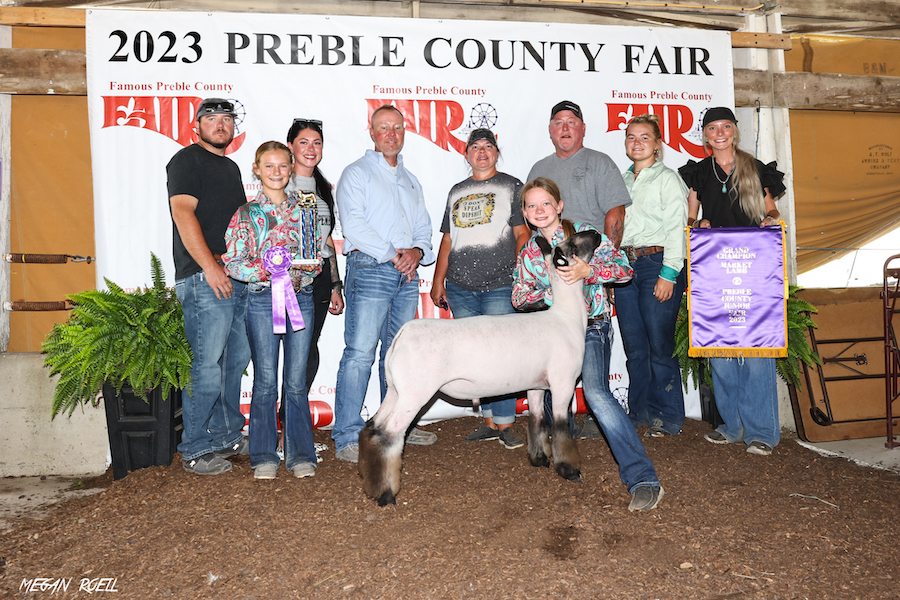 preble county cattle show