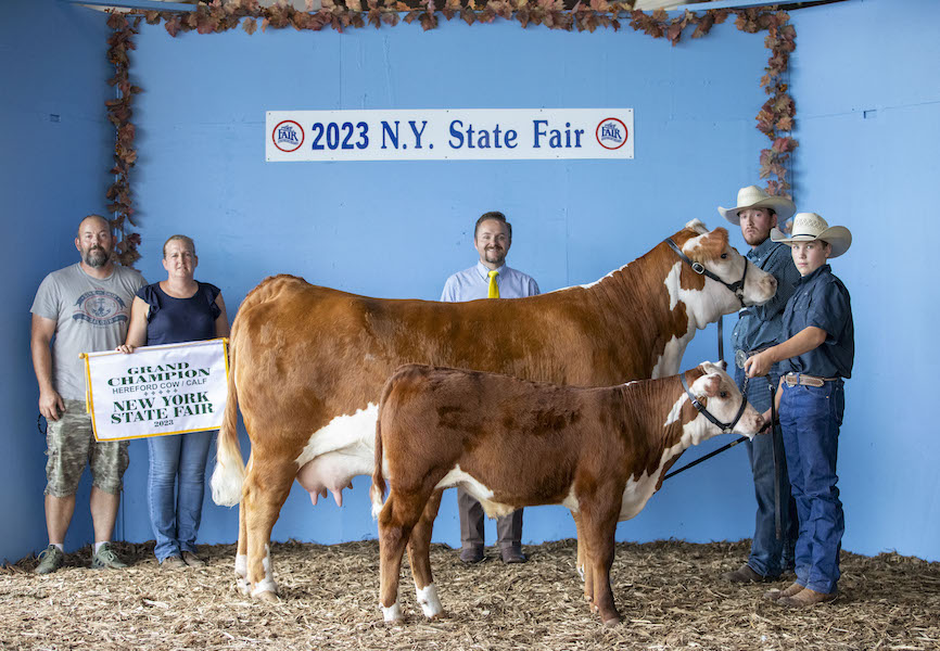 Grand Champion Hereford Cow/Calf, 2023 New York State Fair