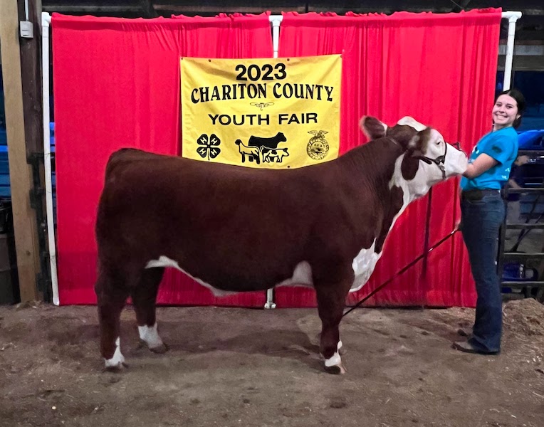 Overall Reserve Grand Champion Steer, 2023 Chariton County Youth Fair