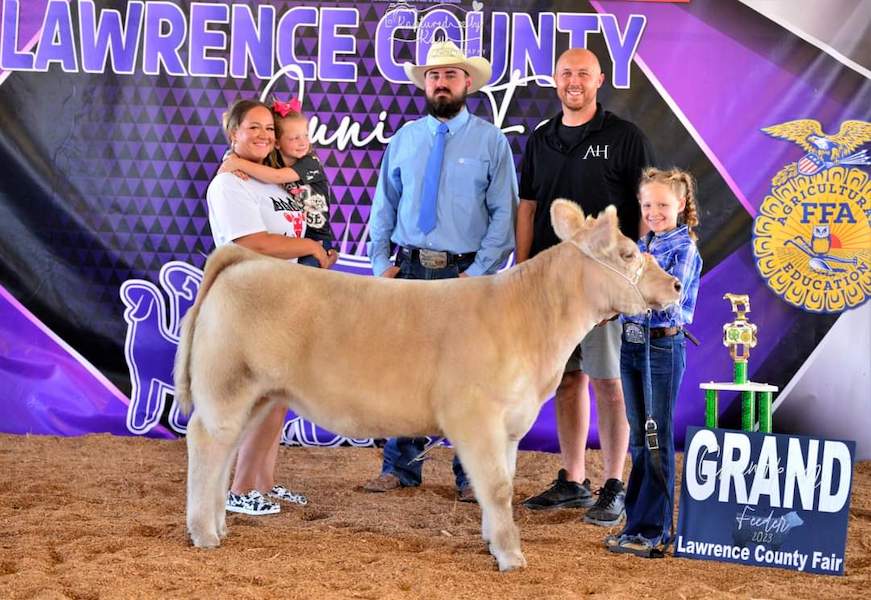 Grand Champion Feeder Calf, 2023 Lawrence County Fair