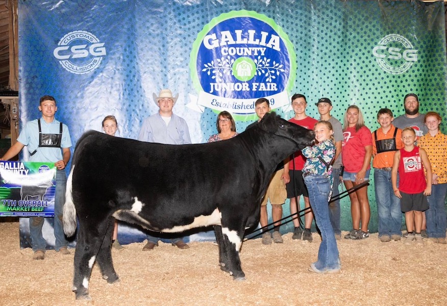Grand Champion Market Heifer, 7th Over All Market Animal, 2023 Gallia County Fair