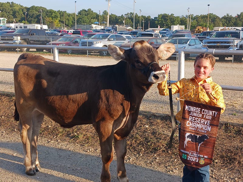 Reserve Champion Dairy Feeder, 2023 Monroe Co Fair