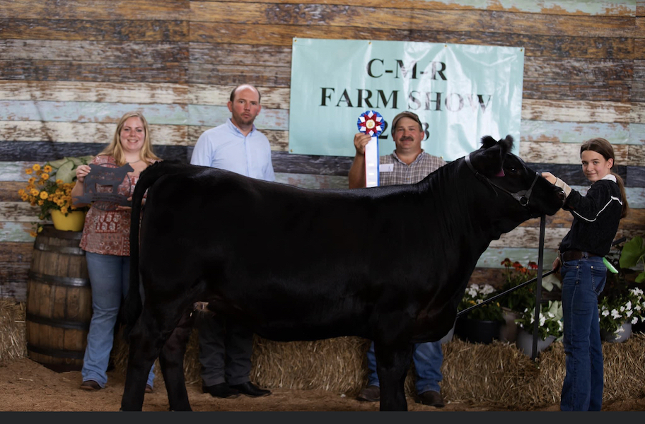 Reserve Supreme Champion Heifer, 2023 CMR Farm Show