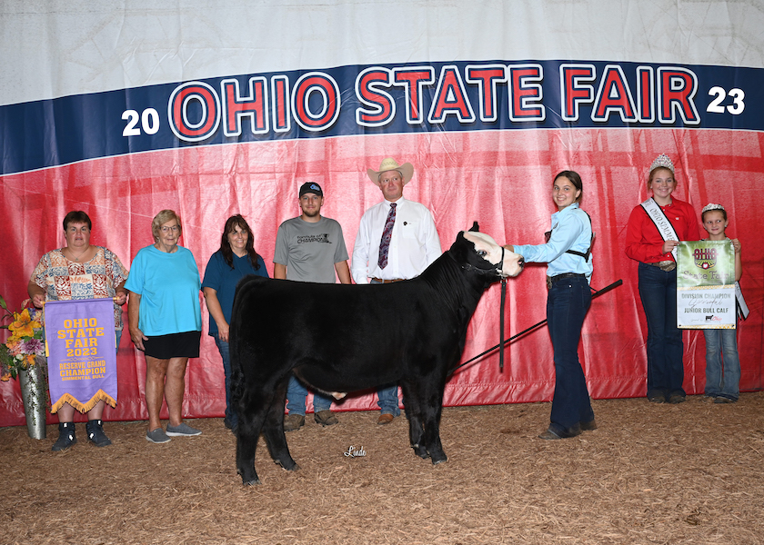 Reserve Champion Simmental Bull, 2023 Ohio State Fair