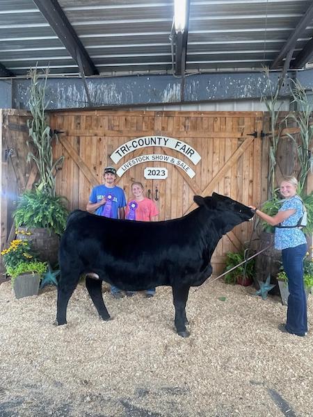 Grand Champion Simmental Heifer, 2023 Tri County Fair