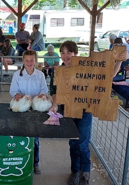 Reserve Champion Chicken, 2023 Noble County Fair