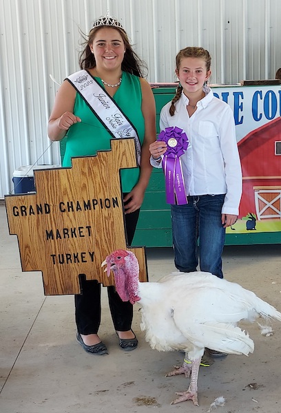 Grand Champion Market Turkey, 2023 Noble County Fair