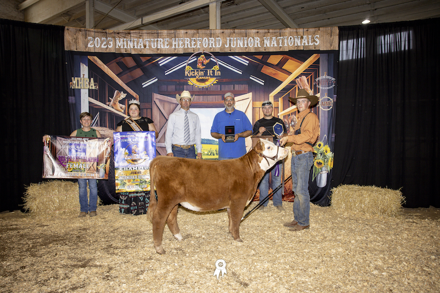 Reserve Grand Champion Owned Female, 2023 Miniature Hereford Junior Nationals